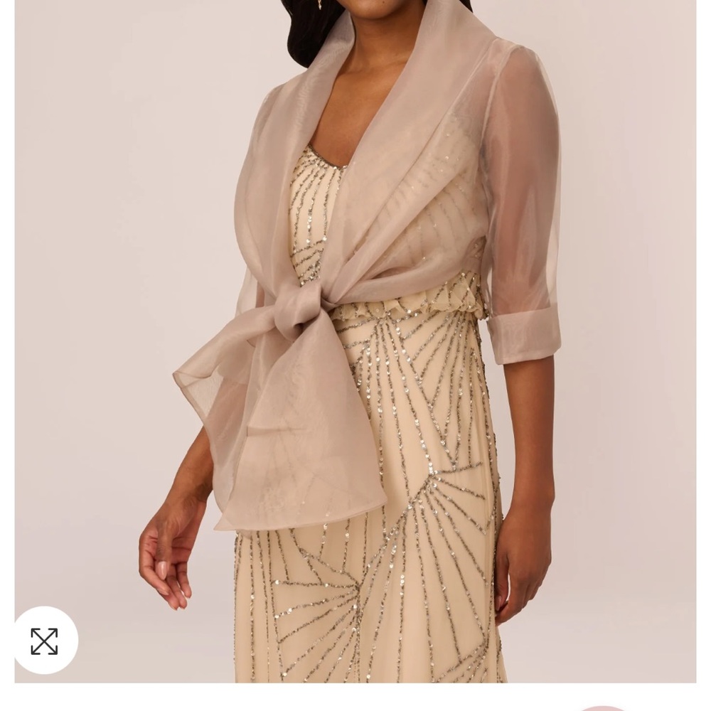 Adrianna Papell Organza Silver Wrap
